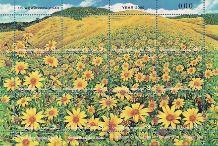 2000 - (4th Series)